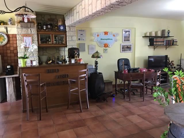 Sopra Le Laure B&B Laureana di Borrello Bagian luar foto